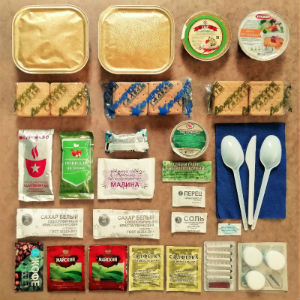  в Электрогорске