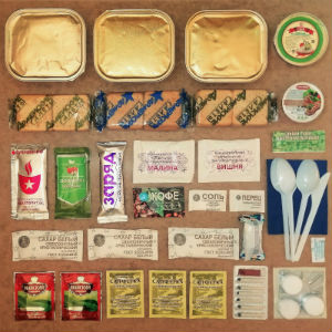  в Электрогорске