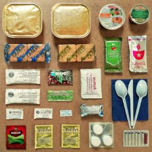  в Электрогорске