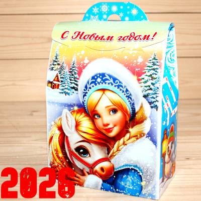 Детский новогодний подарок 2026 в Электрогорске