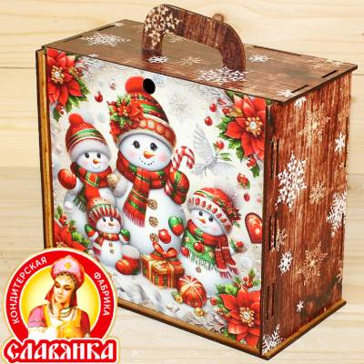  в Электрогорске