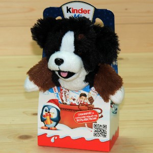  в Электрогорске